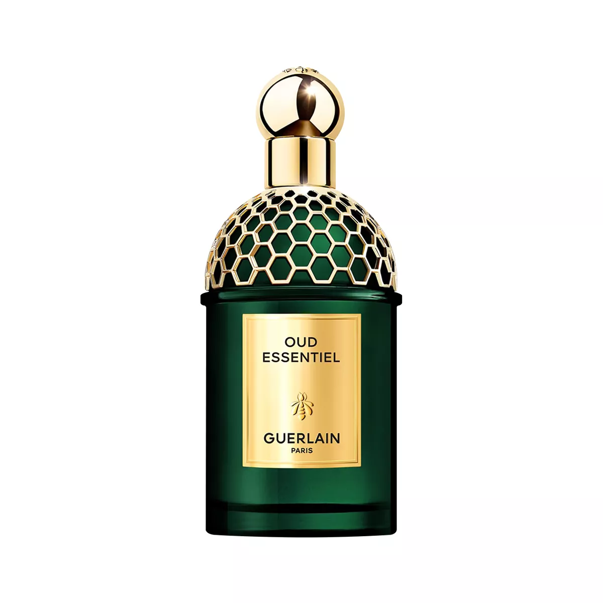 Absolus Allegoria Oud Essentiel Perfume by Guerlain EDP For Unisex 125 ml