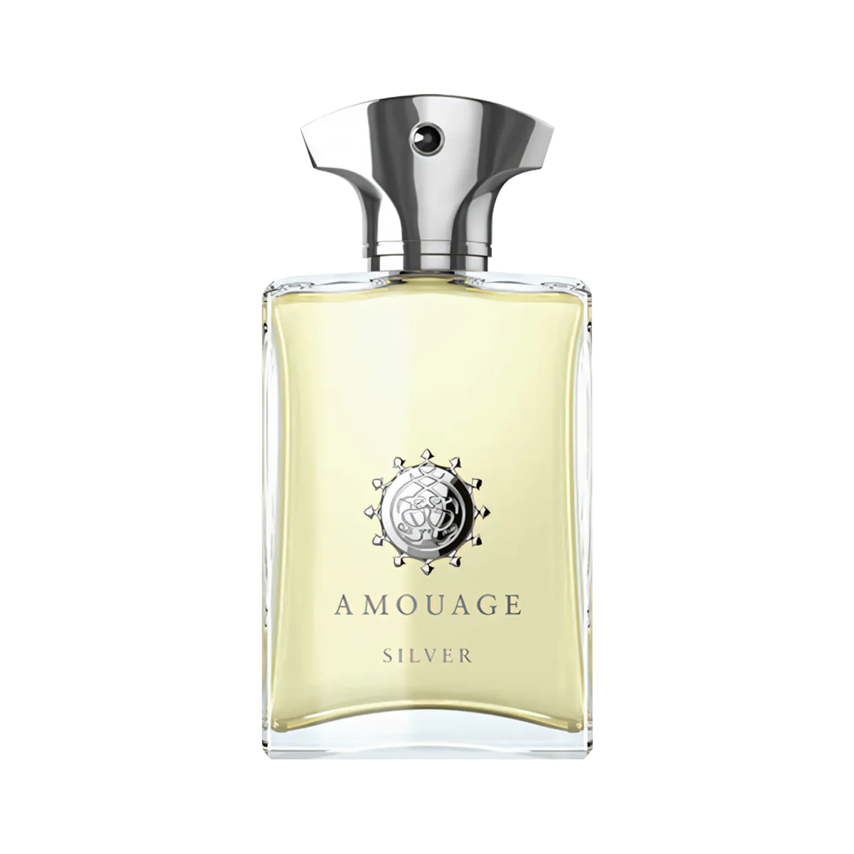 Silver Man Perfume By Amouage EDP For Men 100 ml