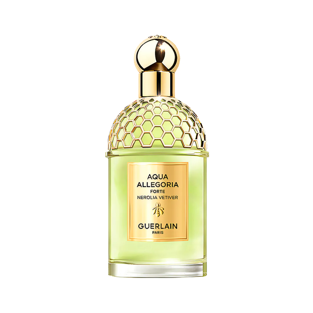 Aqua Allegoria Forte Nerolia Vetiver Perfume by Guerlain EDP For Men and Women 125 ml