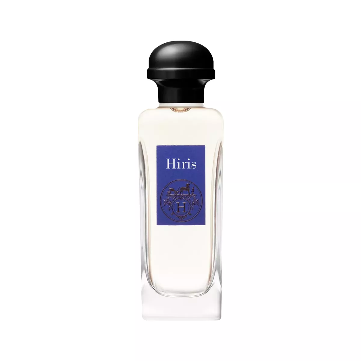 Hiris Perfume by Hermes Eau de Toilette For Women 100 ml