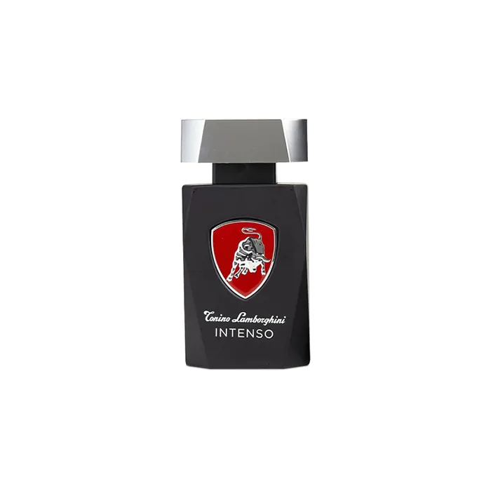 عطر انتينسو من تونينو لامبورجيني أو دو تواليت للرجال 125 مل
