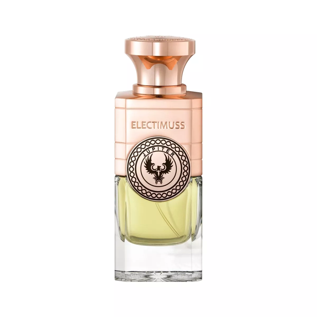 Jupiter Perfume by Electimuss EDP For Unisex 100 ml