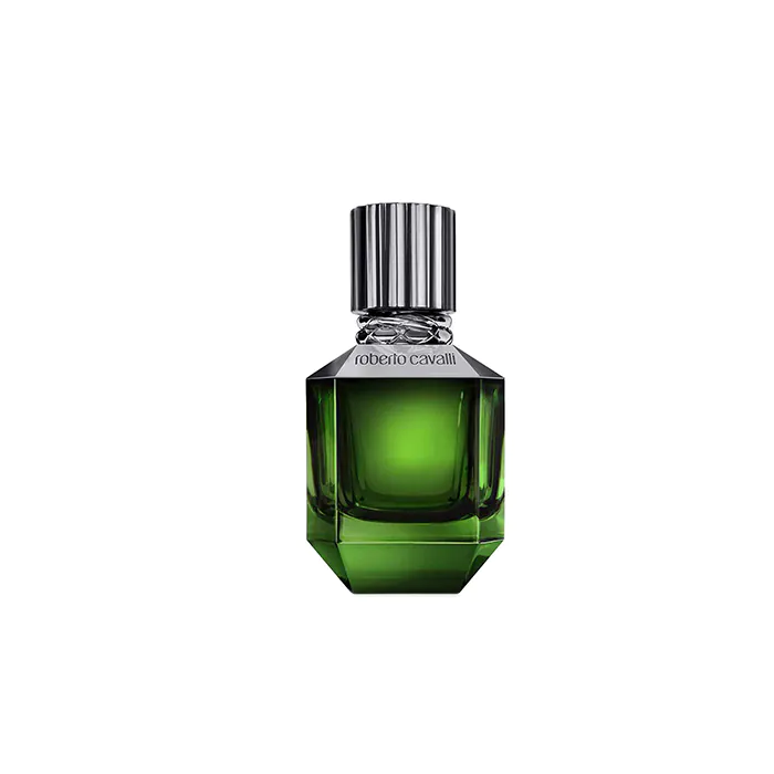 Paradise Found For Men Perfume By Roberto Cavalli EDT For Men 50 ml