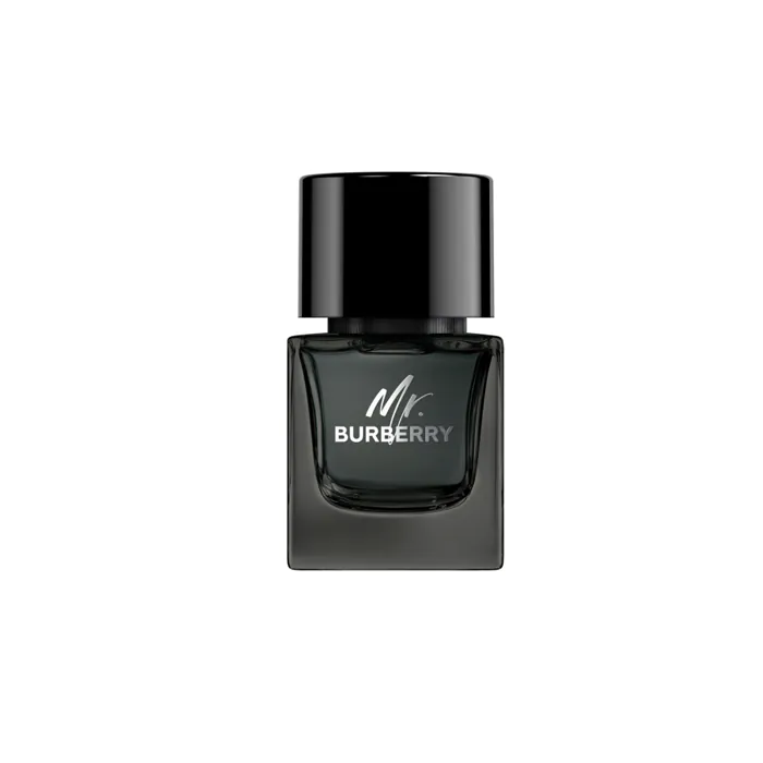 عطر مستر بربري من بربري أو دو برفيوم للرجال 50 مل