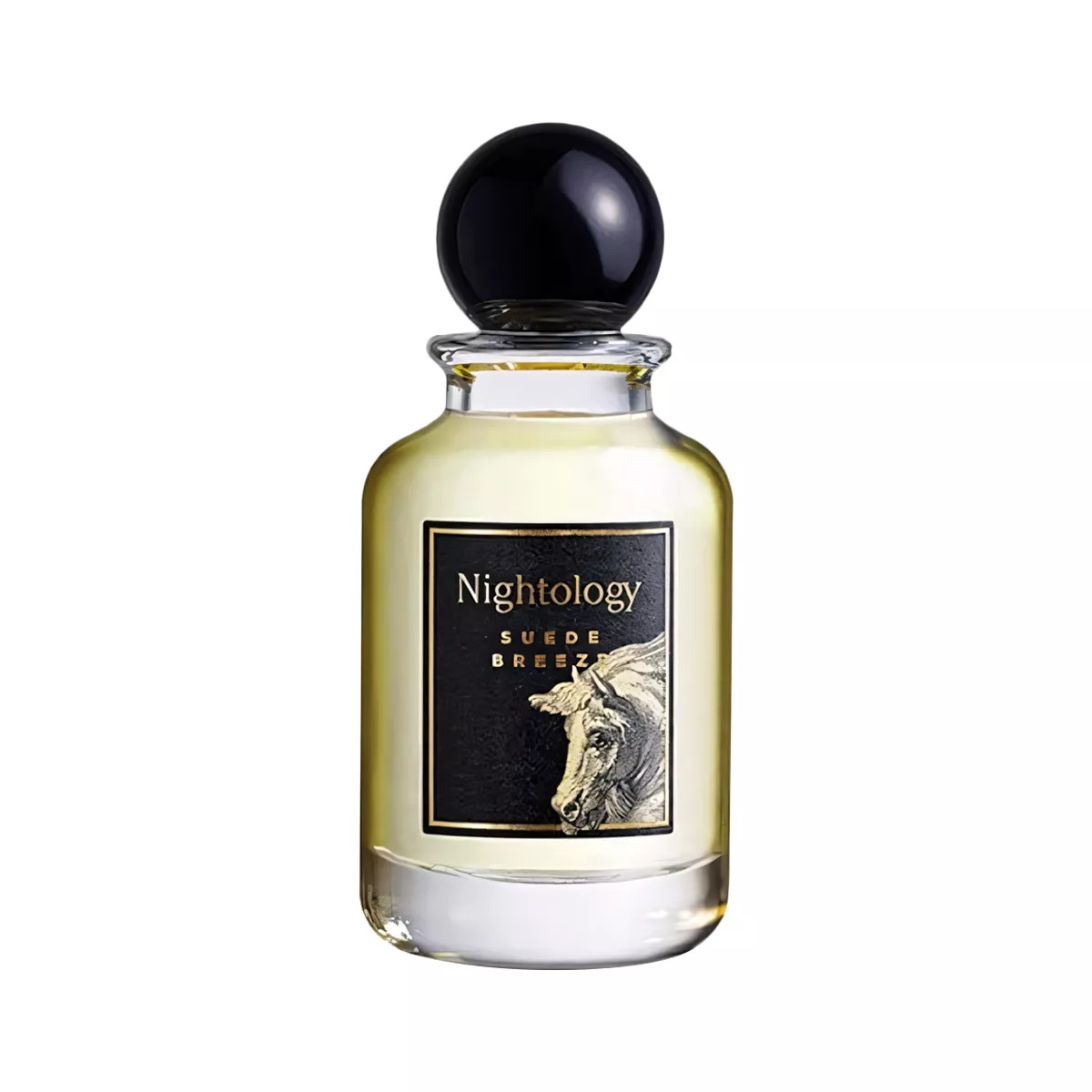 Nightology Suede Breeze Perfume by Jesus Del Pozo Eau de Parfum For Unisex 100 ml