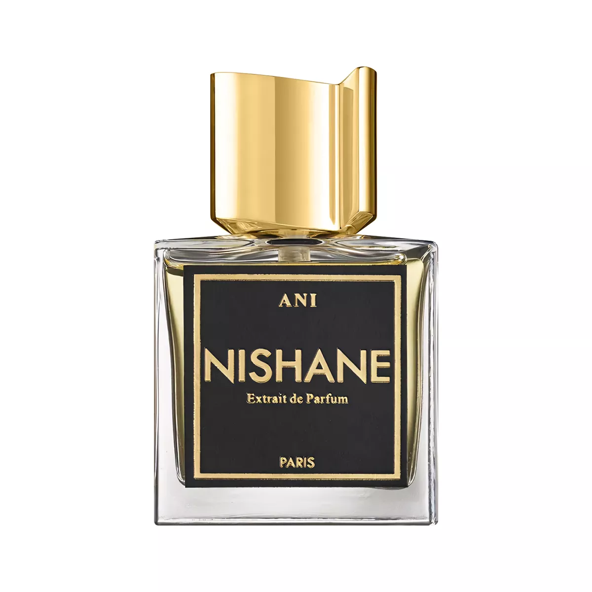 Nishane Ani Perfume by Nishane Extraits de Parfum For Men and Women 50 ml