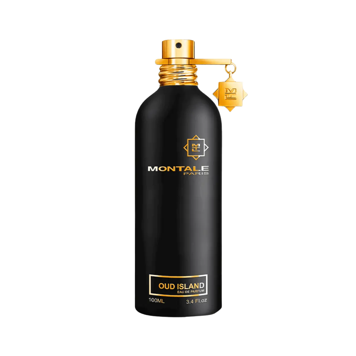 Oud Island Perfume by Montale EDP For Unisex 100 ml
