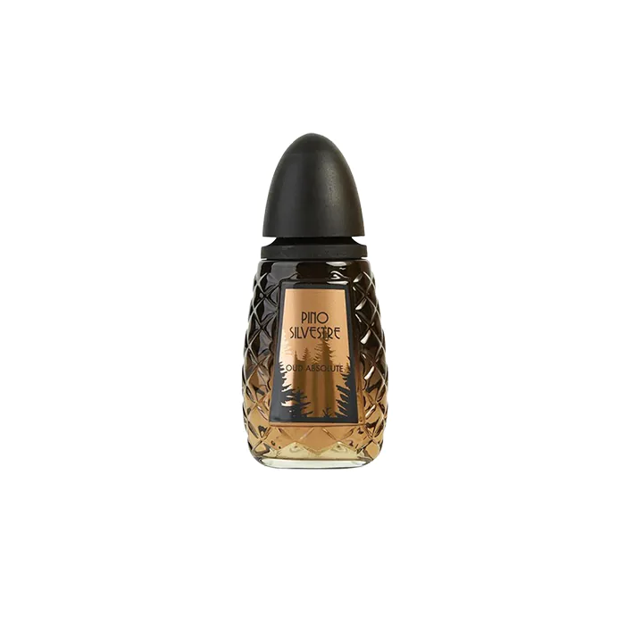 Oud Absolute Perfume by Pino Silvestre EDT For Men 125 ml