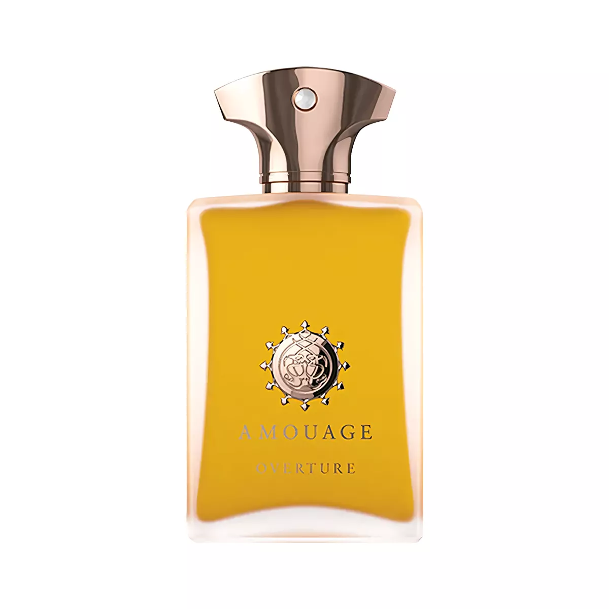 Overture For Man Perfume by Amouage Eau de Parfum For Men 100 ml