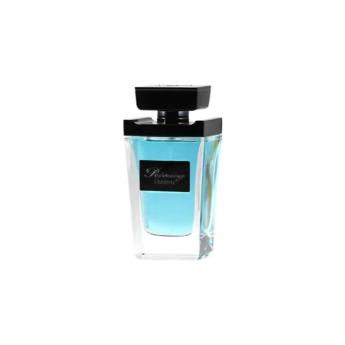 Privacy Homme Perfume by Jean Antoine EDP For Men 100 ml