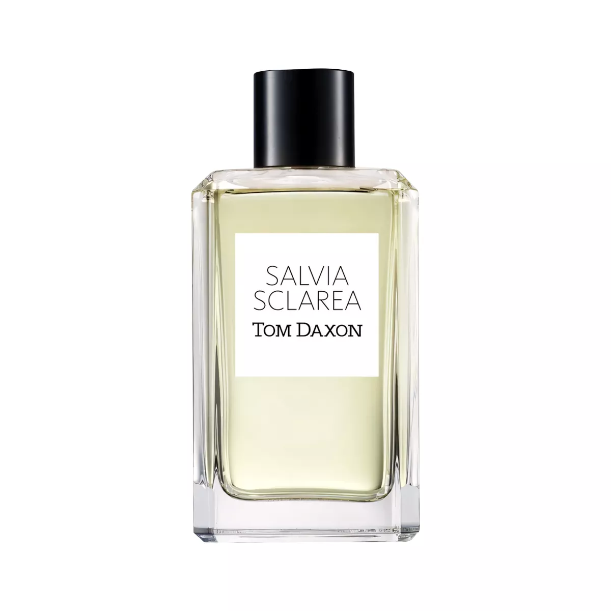 Salvia Sclarea Perfume by Tom Daxon EDP For Unisex 100 ml
