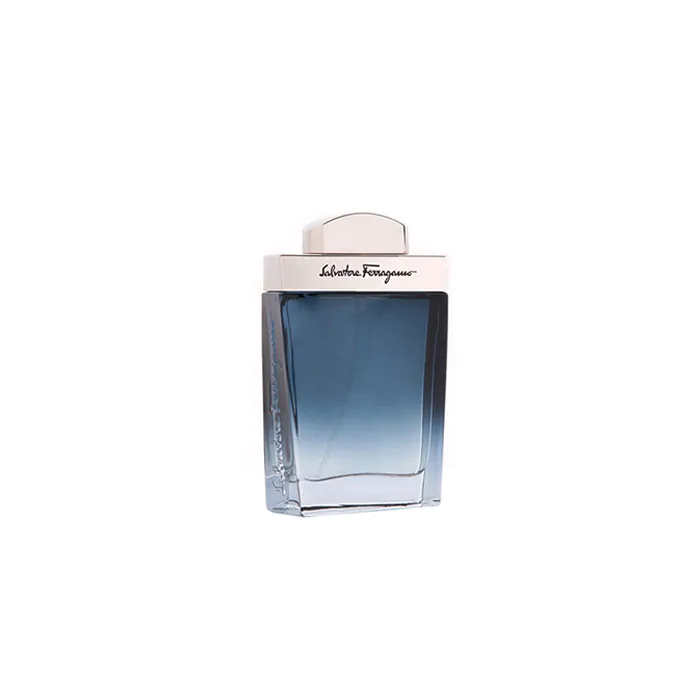 Subtil Pour Homme Perfume by Salvatore Ferragamo EDT For Men 100 ml
