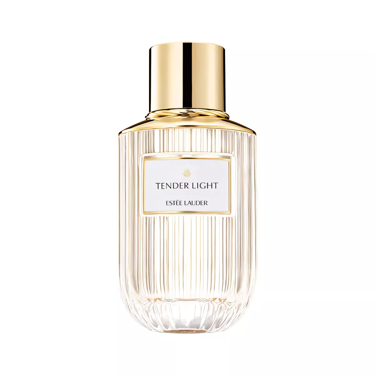 Tender Light Perfume by Estee Lauder EDP For Men and Women 100 ml