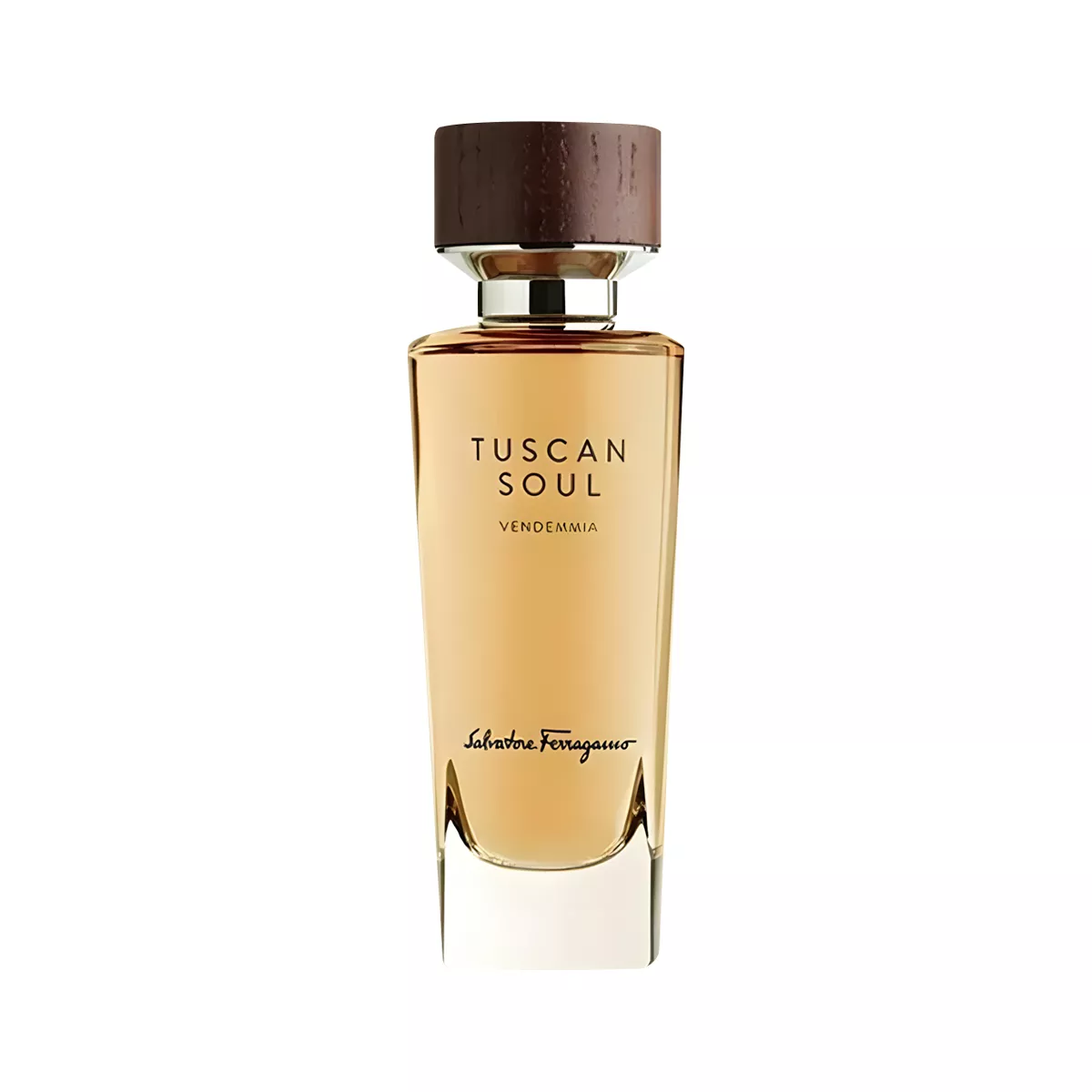 Tuscan Soul Vendemmia Perfume By Salvatore Ferragamo EDT For Men and Women 75 ml