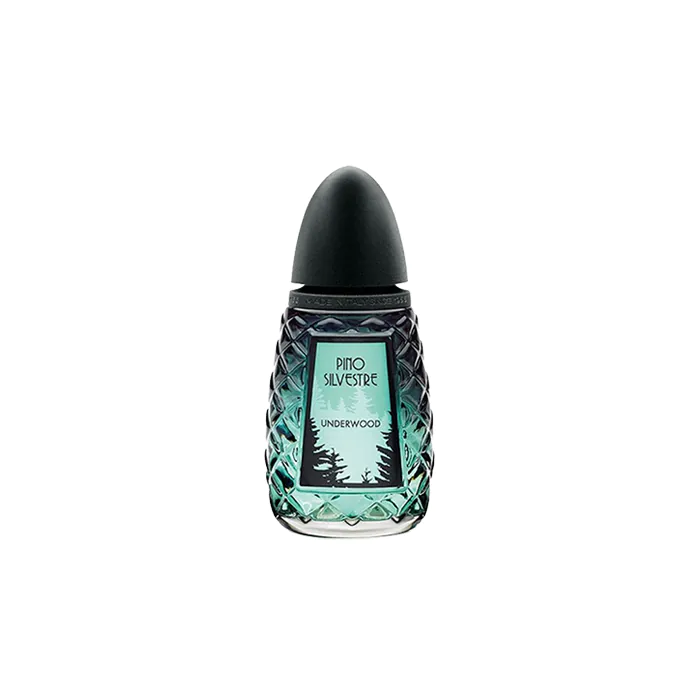 Underwood Perfume by Pino Silvestre EDT For Men 125 ml