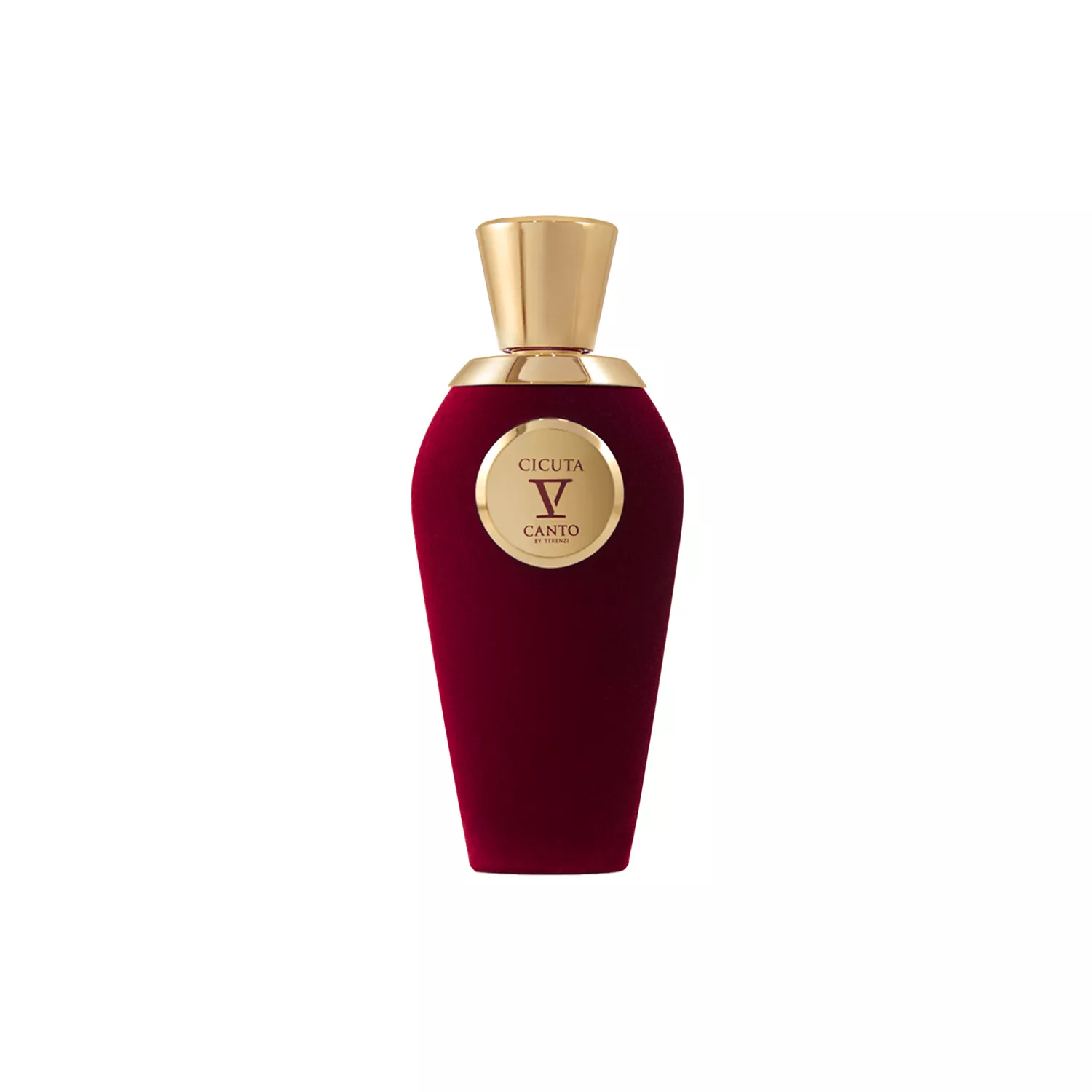 V Canto Cicuta Perfume by V Canto Extraits de Parfum For Men and Women 100 ml