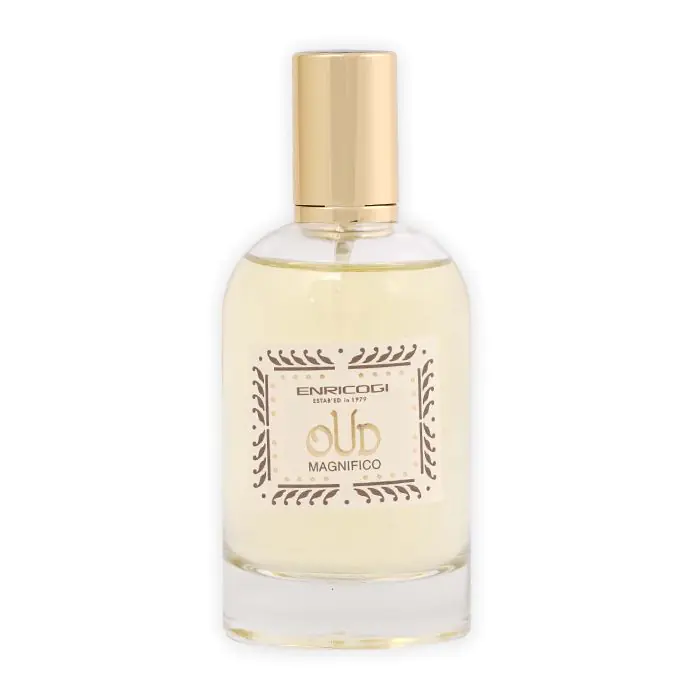 Oud Magnifico Perfume By Enrico Gi EDP For Men and Women 100 ml