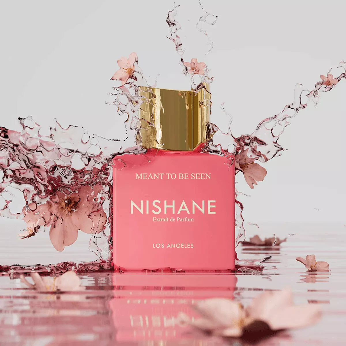 Meant to be Seen Perfume by Nishane For Unisex 50 ml