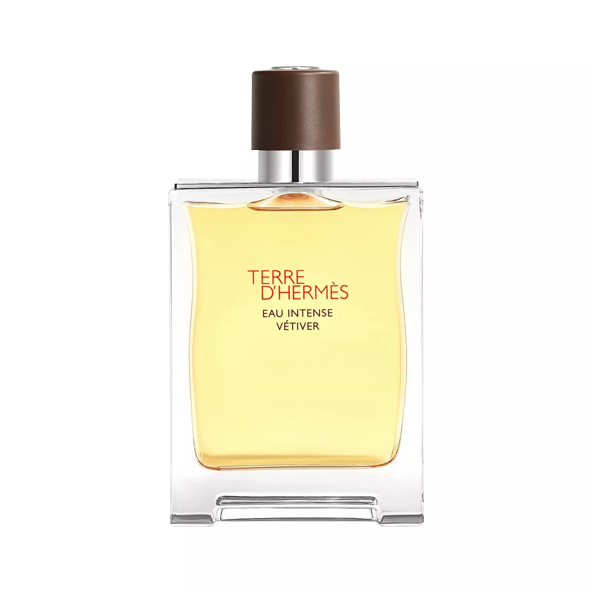Terre D'Hermes Eau Intense Vetiver Perfume By Hermes EDP For Men 200 ml